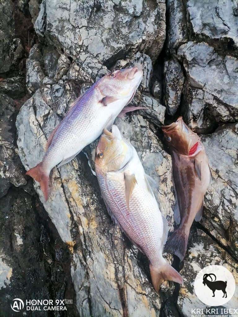 Pesca sull'isola Sapientza