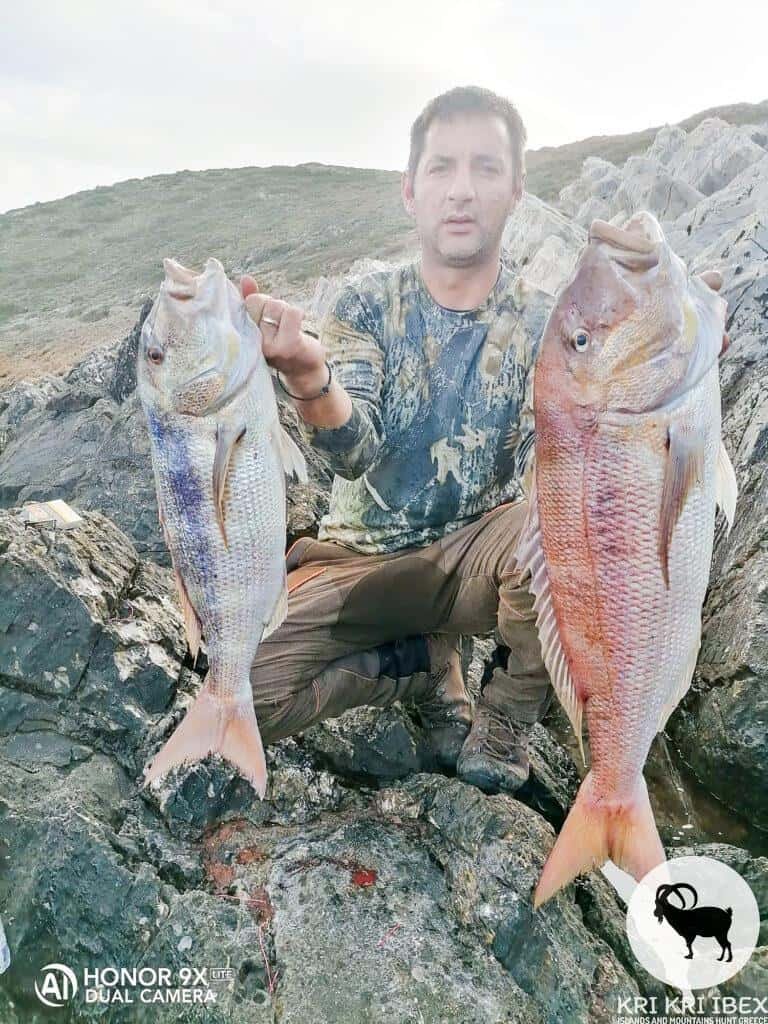 Sapientza island fishing